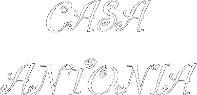 Piscina exterior Casa Antonia-La plaza